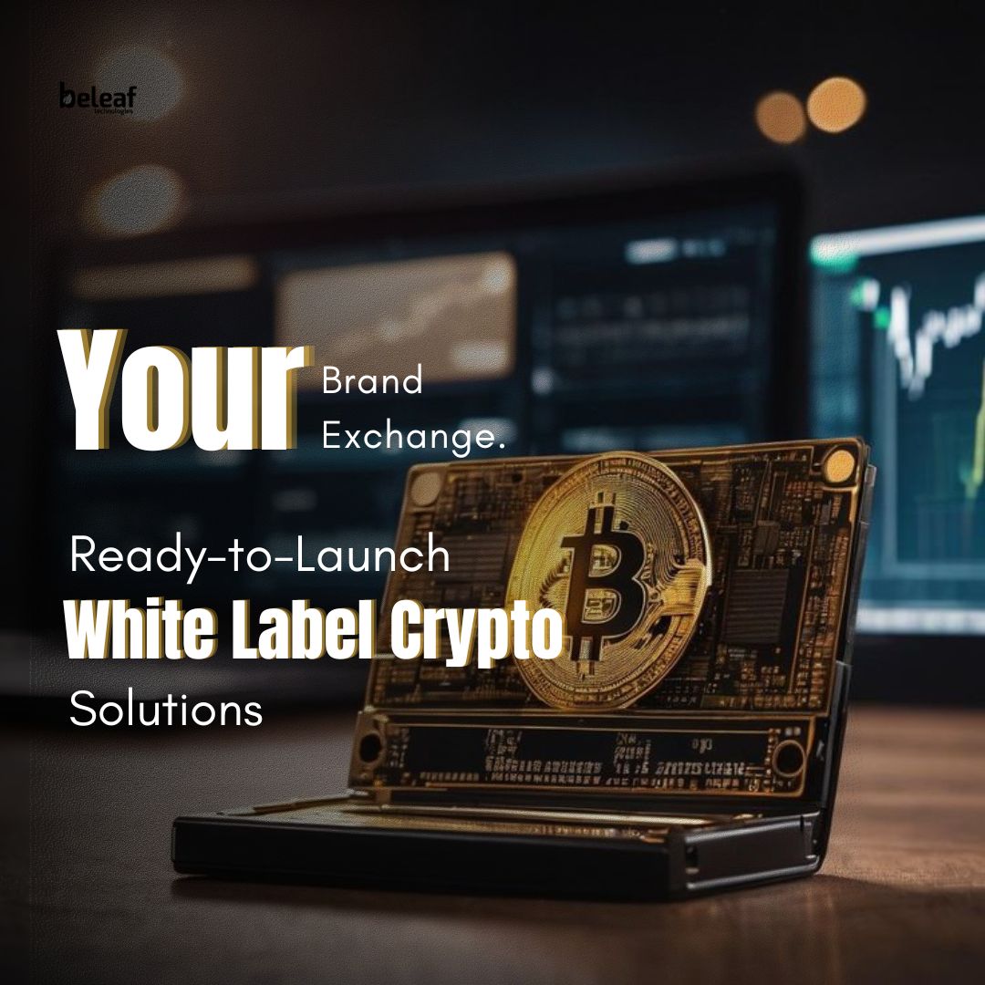 The Smart Way to Launch a Crypto Exchange